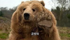 강서파티 본문 이미지 3